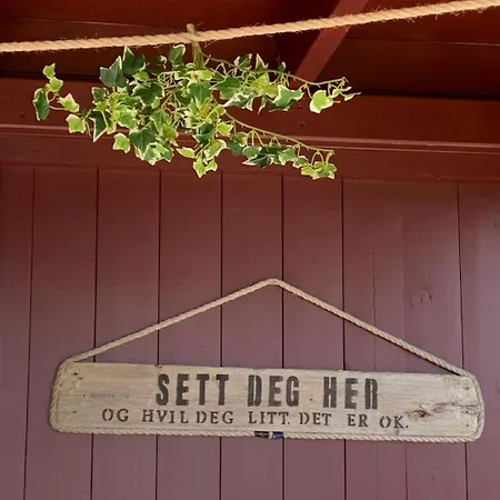 The Dream! Drommehytta Med Utsikt Over Havet Vestvagoy